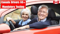 Canada Confirms New Licence Testing Rules From 10 December 2025 – Drivers Aged 60+ Must Complete Mandatory Compliance