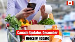 Canada Revises New Grocery Rebate Structure for December 2025 — CRA Clarifies Who Qualifies and When Payments Arrive