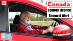 Driving Rules Change for Seniors in Canada — Failure to Renew Licence by 15 Dec May Trigger Suspension