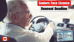 Seniors must renew their driving licences before 15 Dec 2025 — Automatic Suspension under new Canadian driving regulations